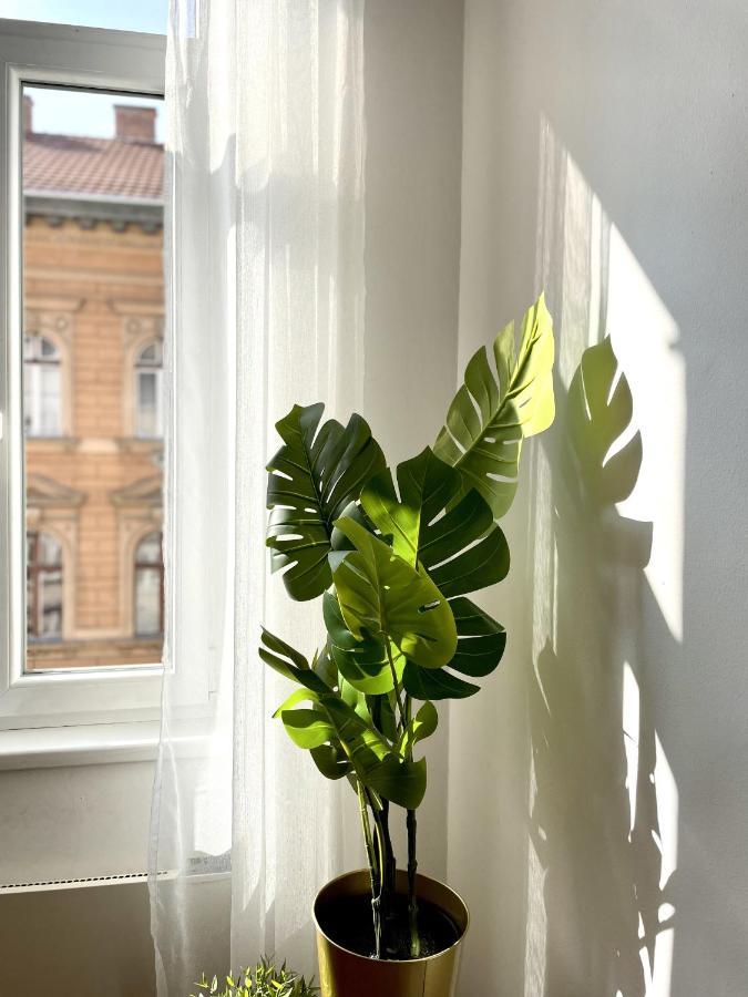 Eotvos 25 Apartment بودابست المظهر الخارجي الصورة